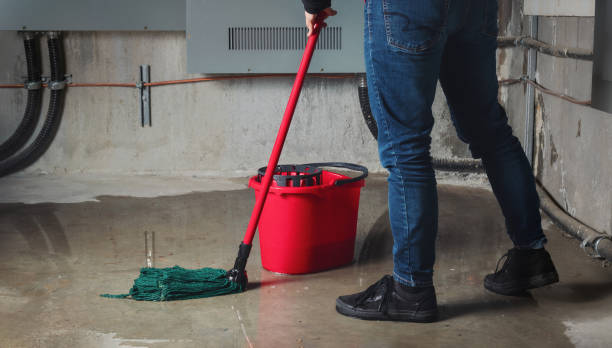 Best Basement water damage restoration  in Atkinson, IL