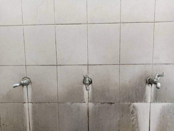 Best Carpet water damage restoration  in Atkinson, IL