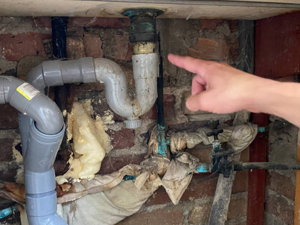Best Water damage cleanup near me  in Atkinson, IL