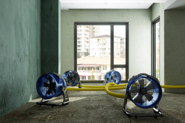 Best Water damage restoration near me  in Atkinson, IL